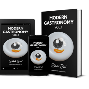 Modern Gastronomy Vol.1 - Roberto Revel