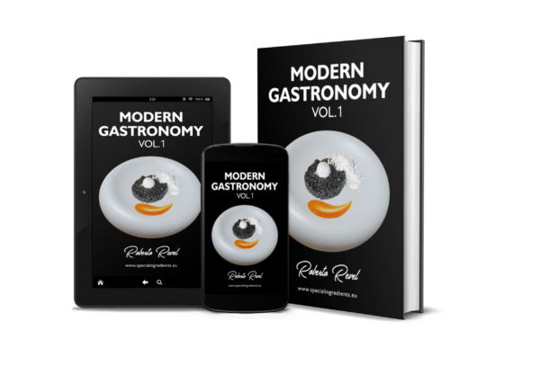 Modern Gastronomy Vol.1 - Roberto Revel